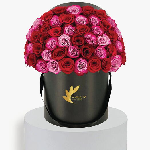 Signature Rouge   Rose Fuchsia