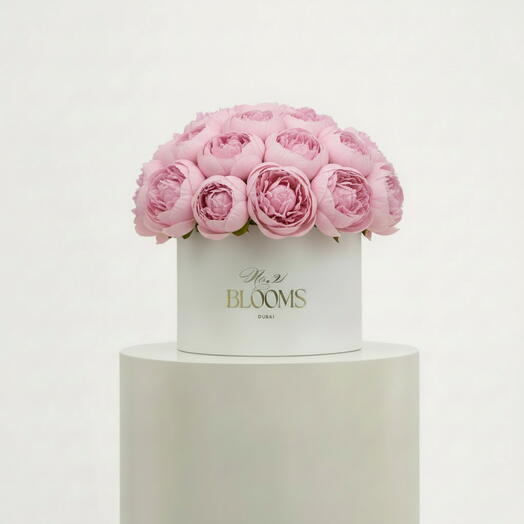 Premium Light Pink 35 Piones