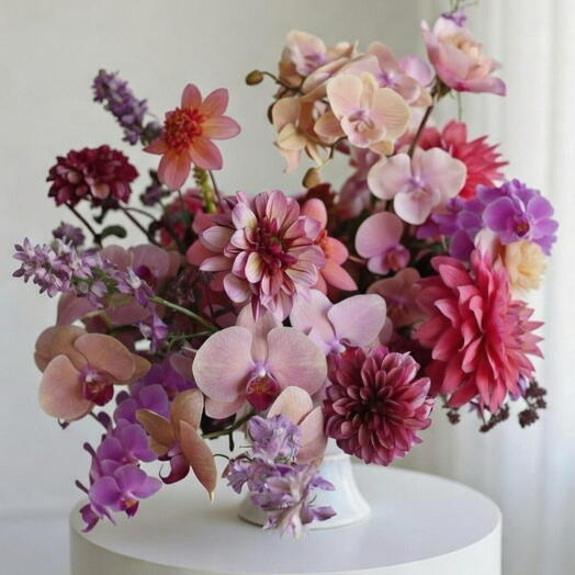 Blush Orchid Symphony