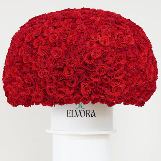 Красные Розы Багряная Элегантность