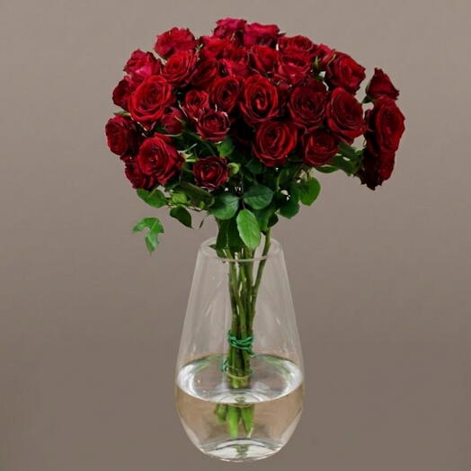 Red Spray Rose Vase 1128