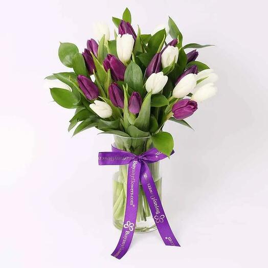 Темная и белая красота 19 тюльпанов