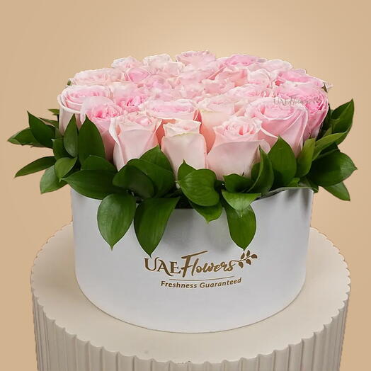 Blush Pink Roses Box
