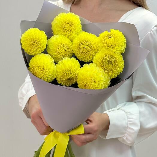 Жёлтые георгины