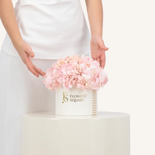 Маленькая коробка розовой гортензии