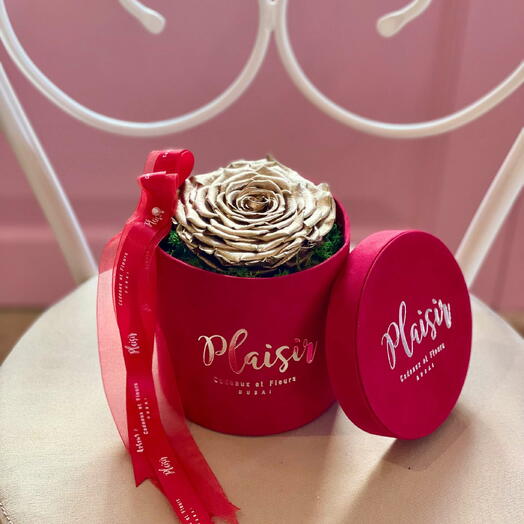 XL золотая стабилизированная роза в красной коробке