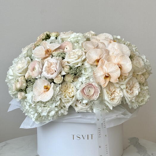 Tenderness box of L size