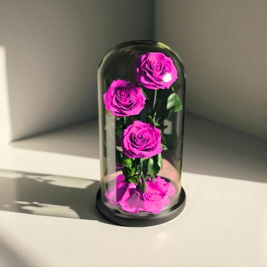 Trio Purple infinity