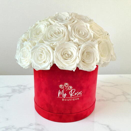 Коробка из красного бархата с 36 белыми розами
