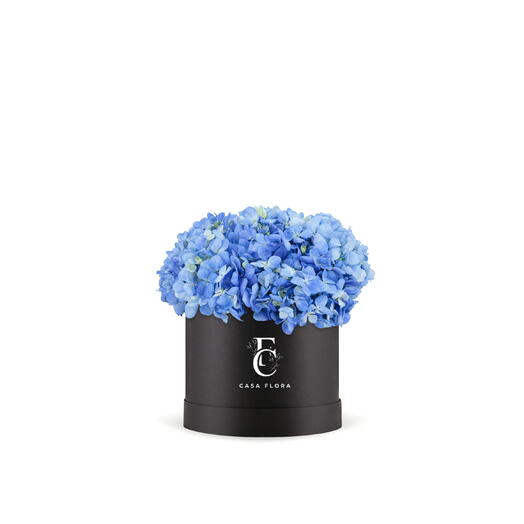 Черная коробка с синей гортензией
