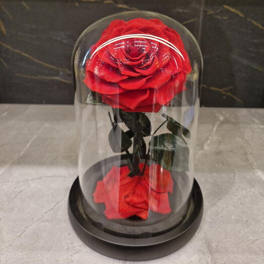 Красная вечная роза