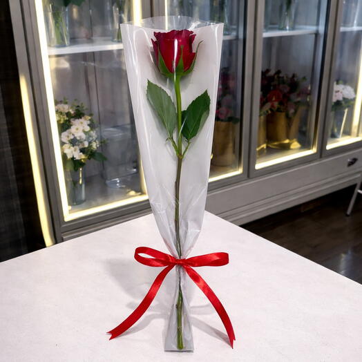 Single Red Rose 1