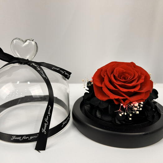 Infinito solitario en cristal condenado