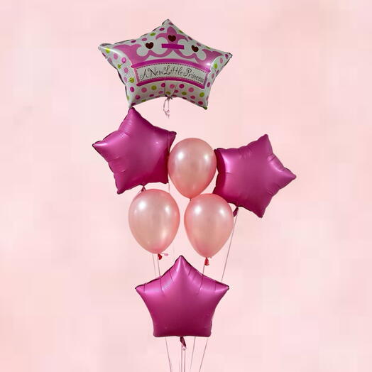 A New Little Princess