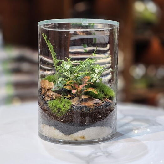 Terrarium Architectural Forestier