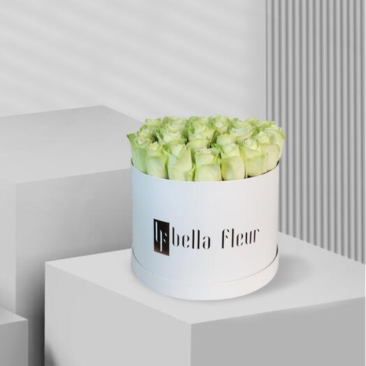 Aviona Bella Box - Large