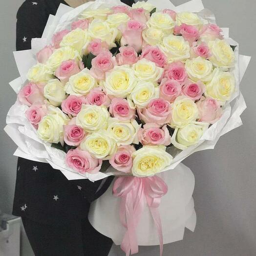 POLASTAR EXPERIENCE BQT