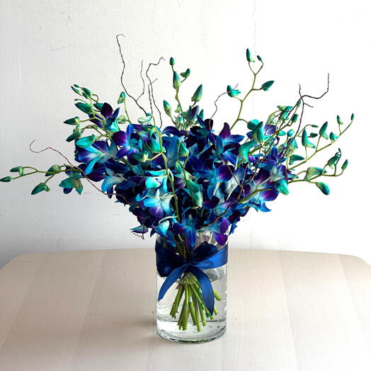 Royal Blue Orchid Vase Dubai Delivery