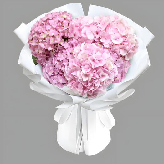 Гортензии 003