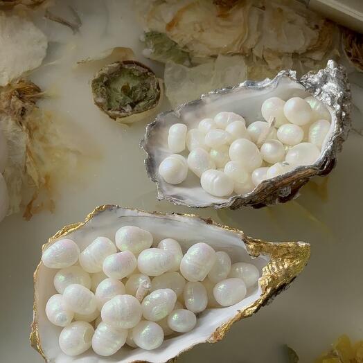 Set of Pearls in oyster shell