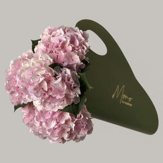 Pink hydrangea (5 pcs)