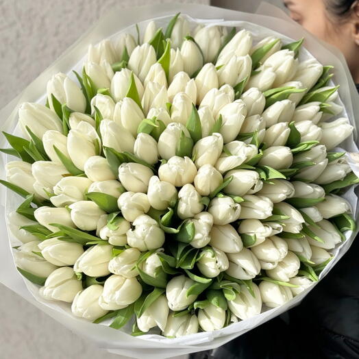 101 Nova Beauty Элегантные белые тюльпаны