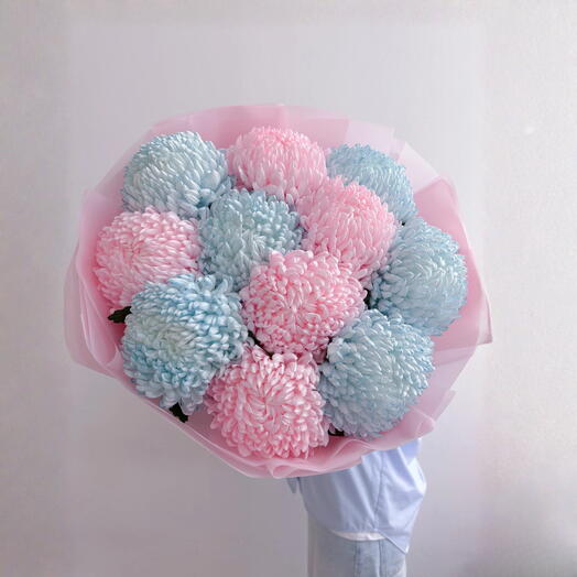 Флафф офф - розовая и голубая хризантема
