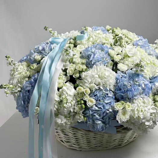 Корзина Impression WOW Size