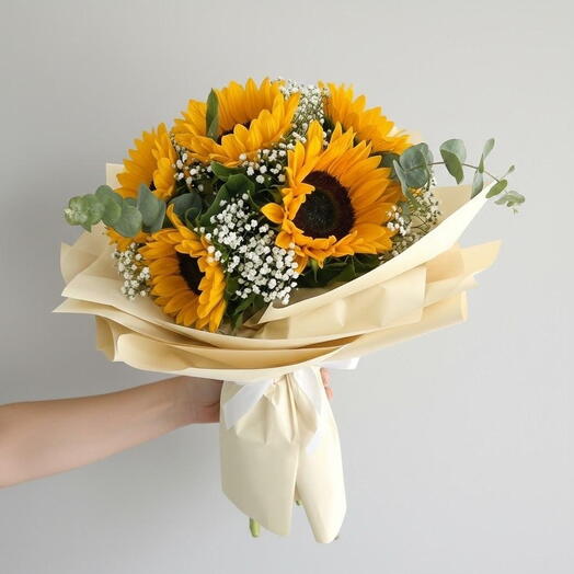 Golden Sunshine – 11 Sunflowers