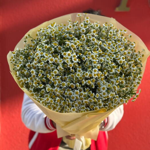 Букет ромашек