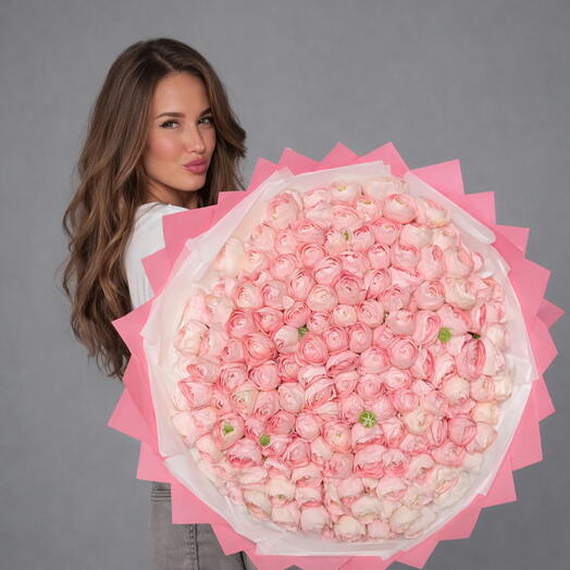 Ranúnculo rosa 200 tallos