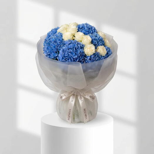 Sapphire Cloud: The Deep Blue Hydrangea   White Rose Symphony