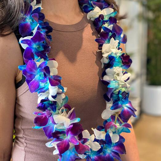 Graduation Orchid Lei