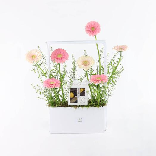 Gerbera Flower   chocolate Bag