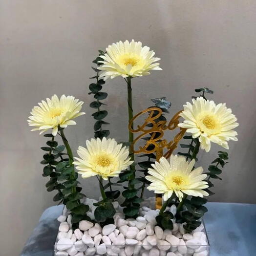 Искусственная гербера в акриловом подносе