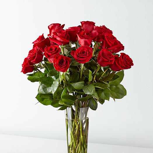 R Red roses in Vase