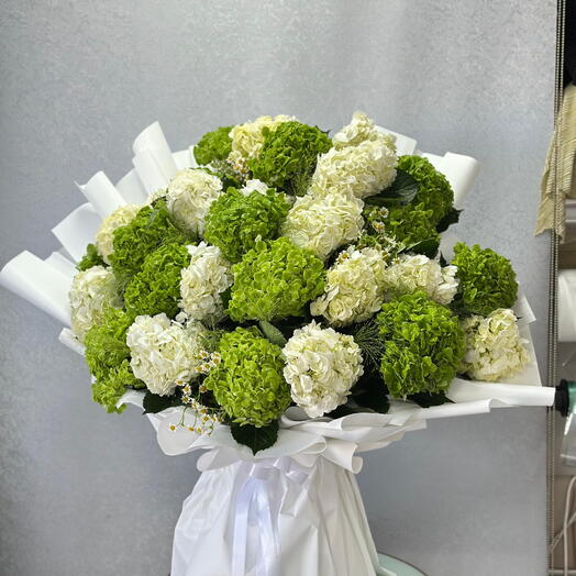 Elegant Green and White Hydrangeas