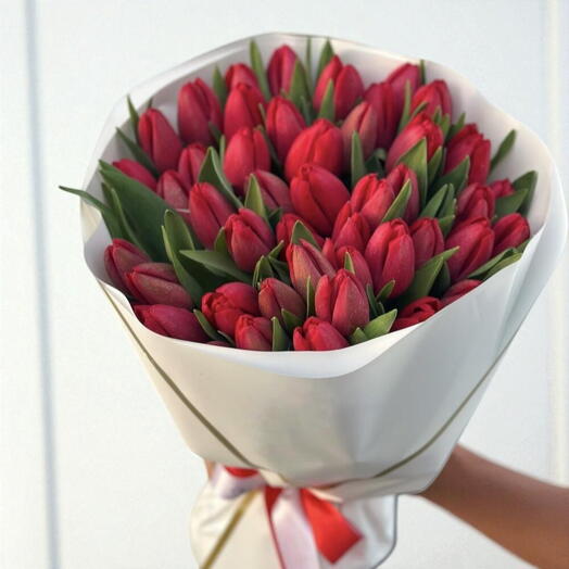 50 red tulips in white wrapping