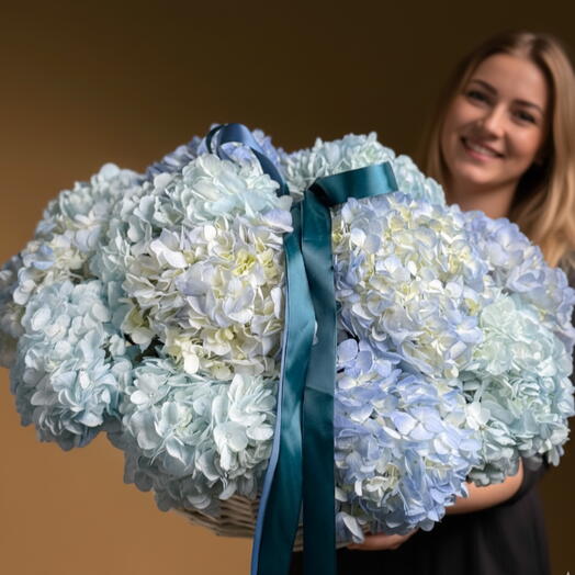 15 Blue  Hydrangea Basket