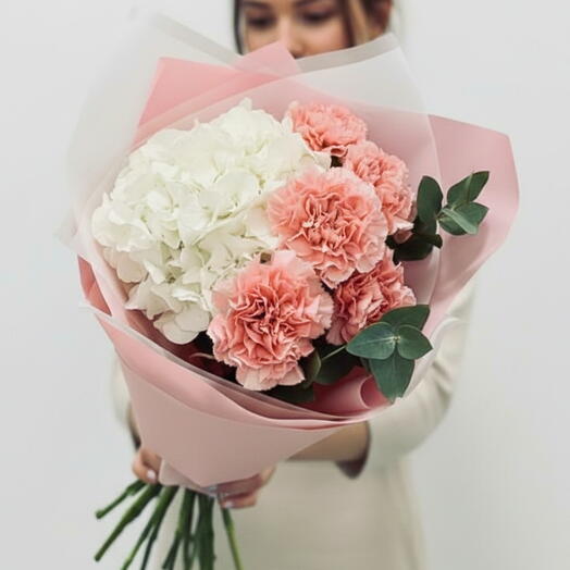 Румяная Грейс – гортензия гвоздика