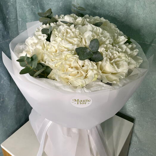 ورود مونستون ذات بتلات منحنية للخلف