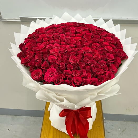 100 Red roses with white wrapping