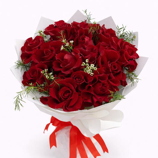 20 красных роз в белой обёртке