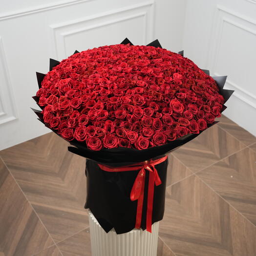501 Premium Red Roses in Signature Black Wrap  7614