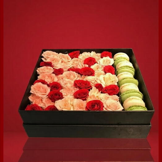 Macaron gift box (large)