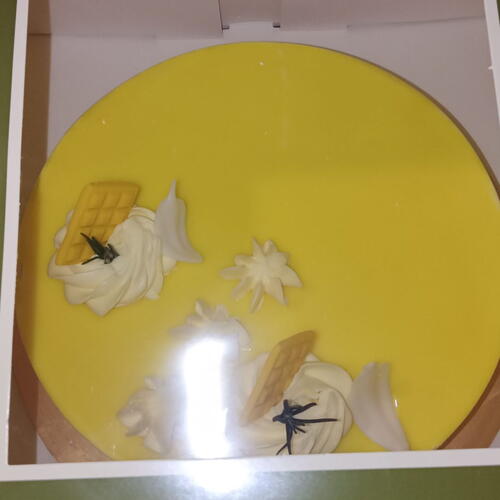 review-photo-before