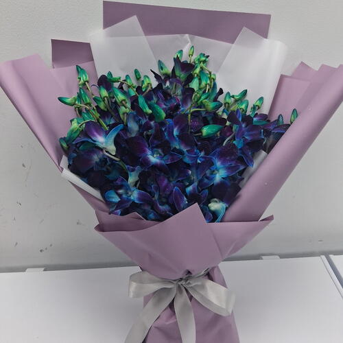 review-photo-before
